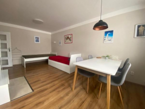 Apartmán U Rybníčku